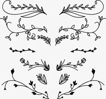 手绘植物花藤免抠