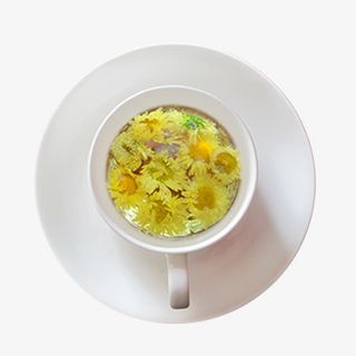 产品实物有机胎菊茶免抠