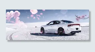 汽车花瓣背景高清