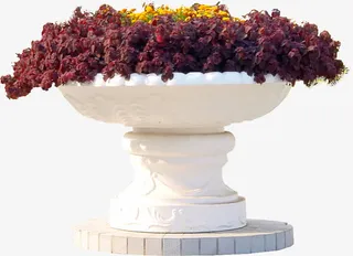 花圃花坛园艺免抠