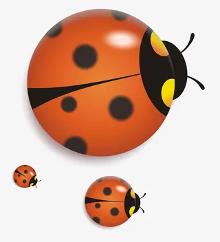 卡通七星瓢虫免抠