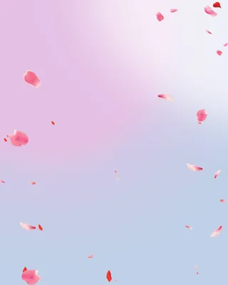 妇女节梦幻花瓣雨背景素材高清