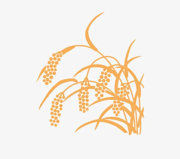金黄的麦穗矢量素材免抠