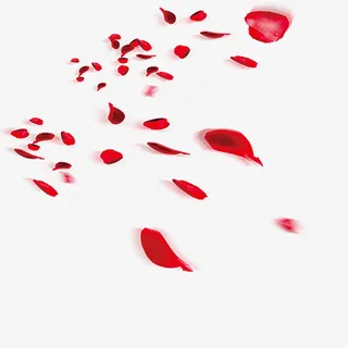 漂浮的花瓣免抠