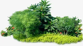 别墅园林艺术效果免抠