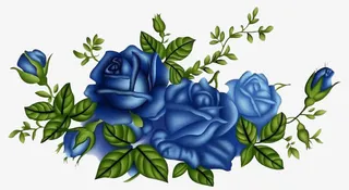 蓝色玫瑰免抠