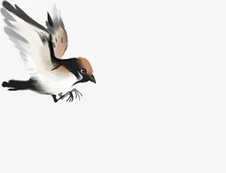 水墨画飞鸟素材印章免抠