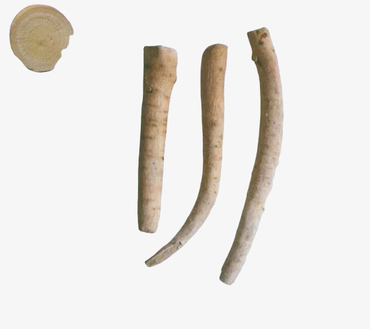中药白芍饮片免抠