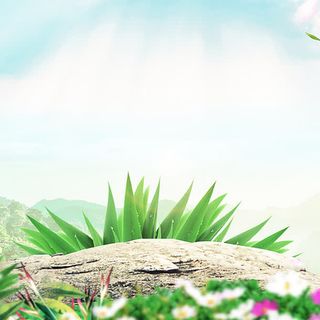 电商主图背景素材免抠背景场景背景元素