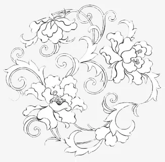 牡丹花简笔画免抠