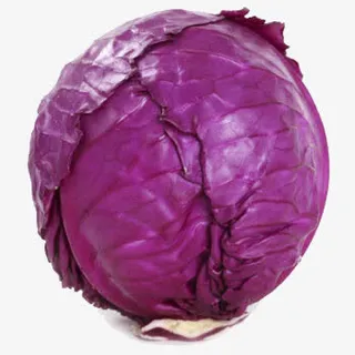 有机紫甘蓝免抠