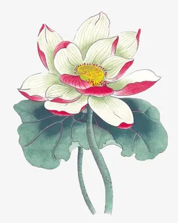 水墨画荷花免抠