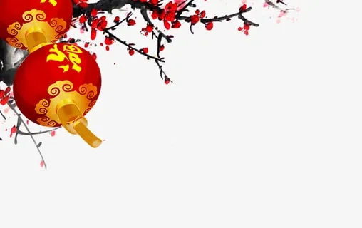 灯笼红梅免抠