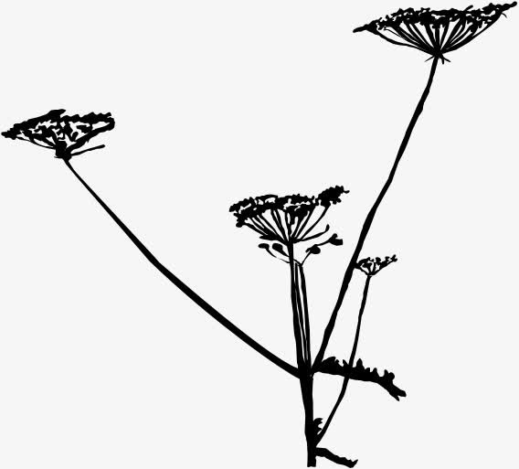 春天黑色风景花朵剪影免抠