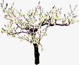 春暖花开桃花造型免抠