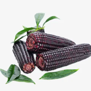 黑糯玉米免费下载免抠图PNG糯免抠