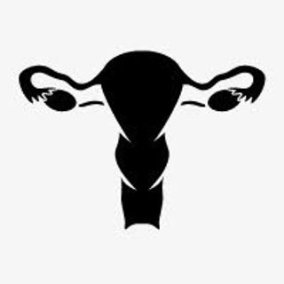 阴道出血图标免抠