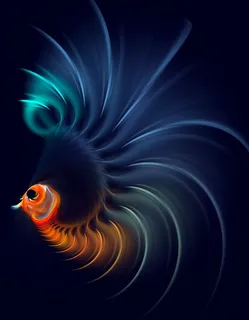 黑色背景金色孔雀 黑色背景金色孔雀