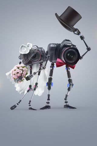 灰色背景照相机婚纱免抠
