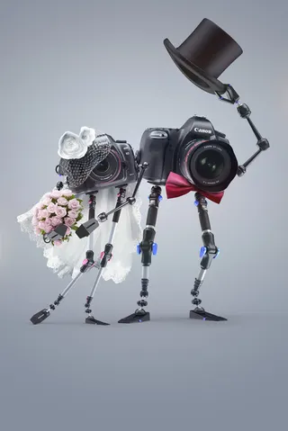 灰色背景照相机婚纱免抠