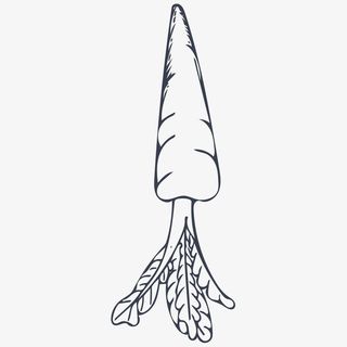 手绘胡萝卜免抠