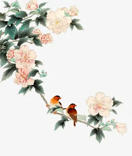 国画牡丹花免抠 国画牡丹花免抠