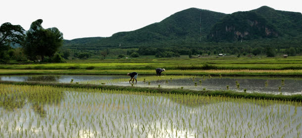 春耕农田免抠