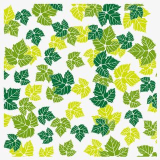 绿叶底纹免抠