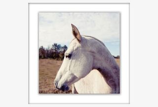 艺术素材装饰画图片 马免抠