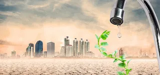 干涸的土地上长出的新芽高清