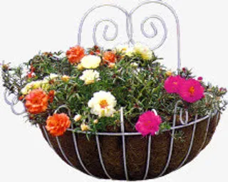 彩色花朵植物挂件装饰免抠