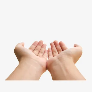 简约的托着的双手PNG免抠