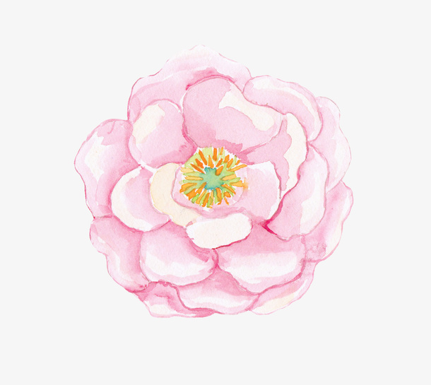 花瓣免抠
