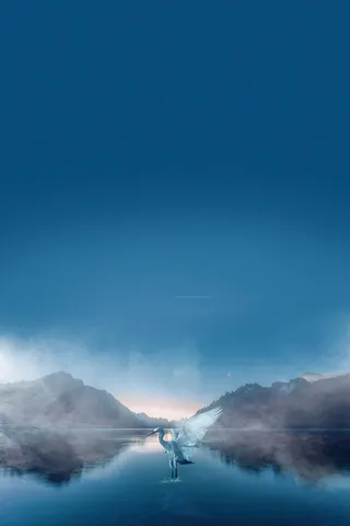 寒露海报背景素材高清