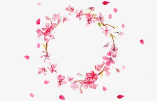 清新的粉红色花瓣和花圈免抠图免抠