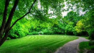 绿色草地树木绿荫小径免抠