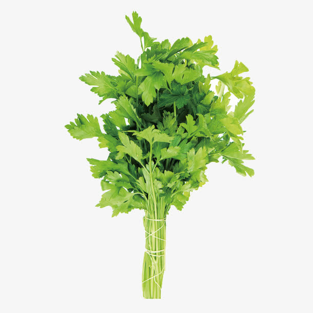 芹菜免抠