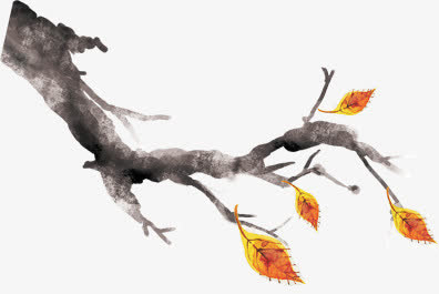 树枝免抠