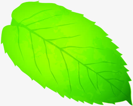 绿色春季树叶美景免抠