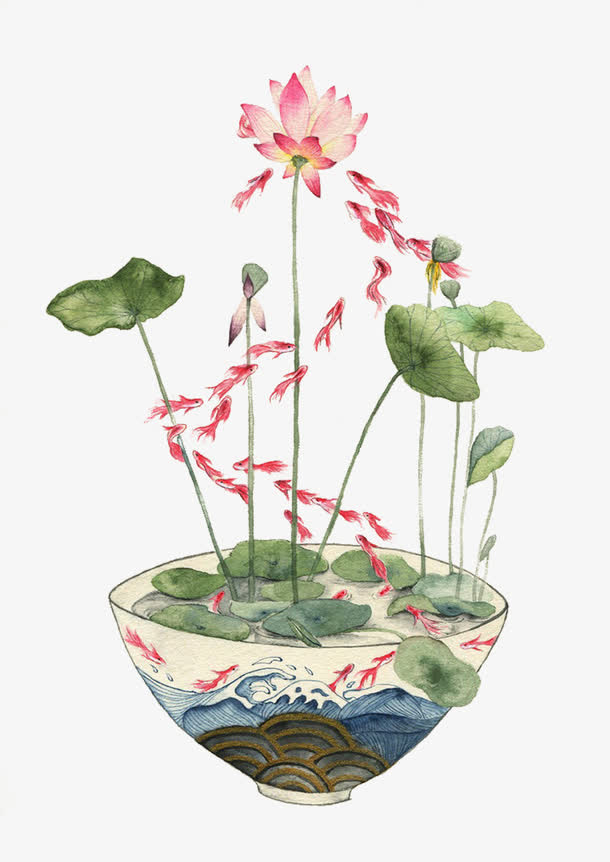 荷塘鲤鱼免抠