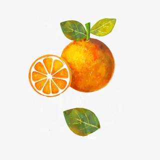 水彩手绘切面橙子水果叶子免抠