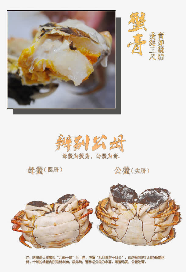 蟹黄螃蟹详图免抠