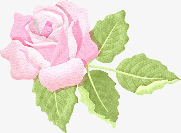 粉色手绘玫瑰免抠