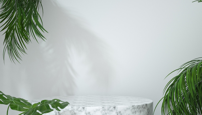 背景，植物，展台，简约高清