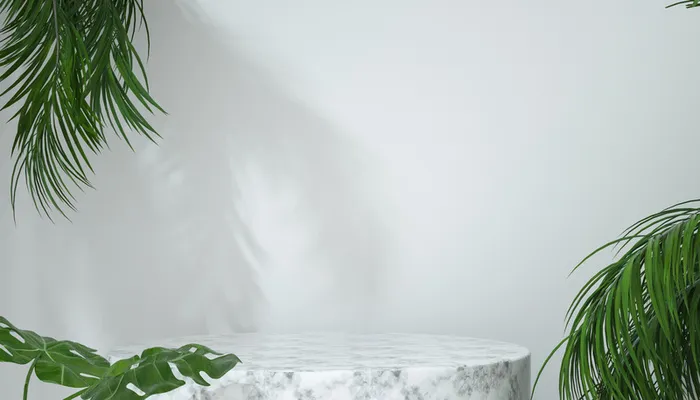 背景，植物，展台，简约高清