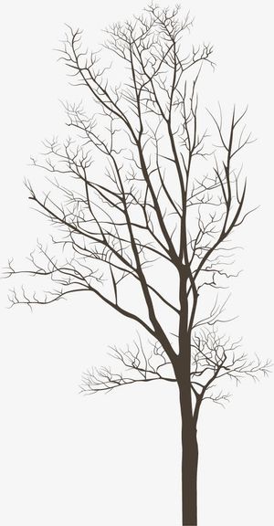 没有叶子的大树免抠