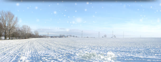 雪地免抠