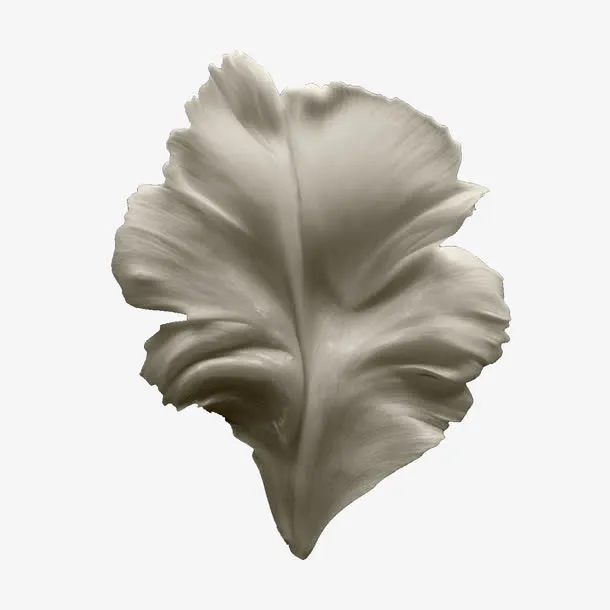 郁金香花瓣免抠