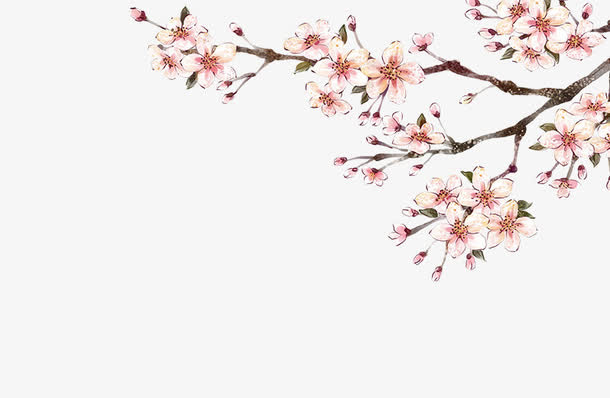 树枝免抠