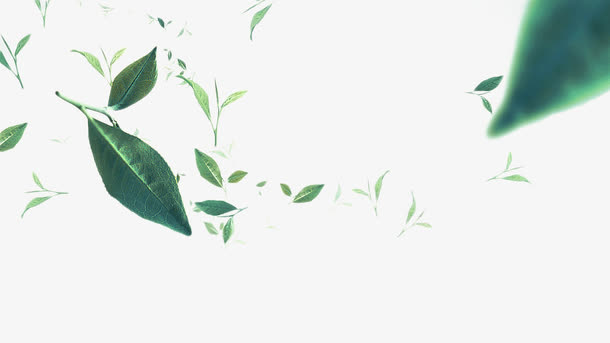 漂浮植物模糊茶叶免抠